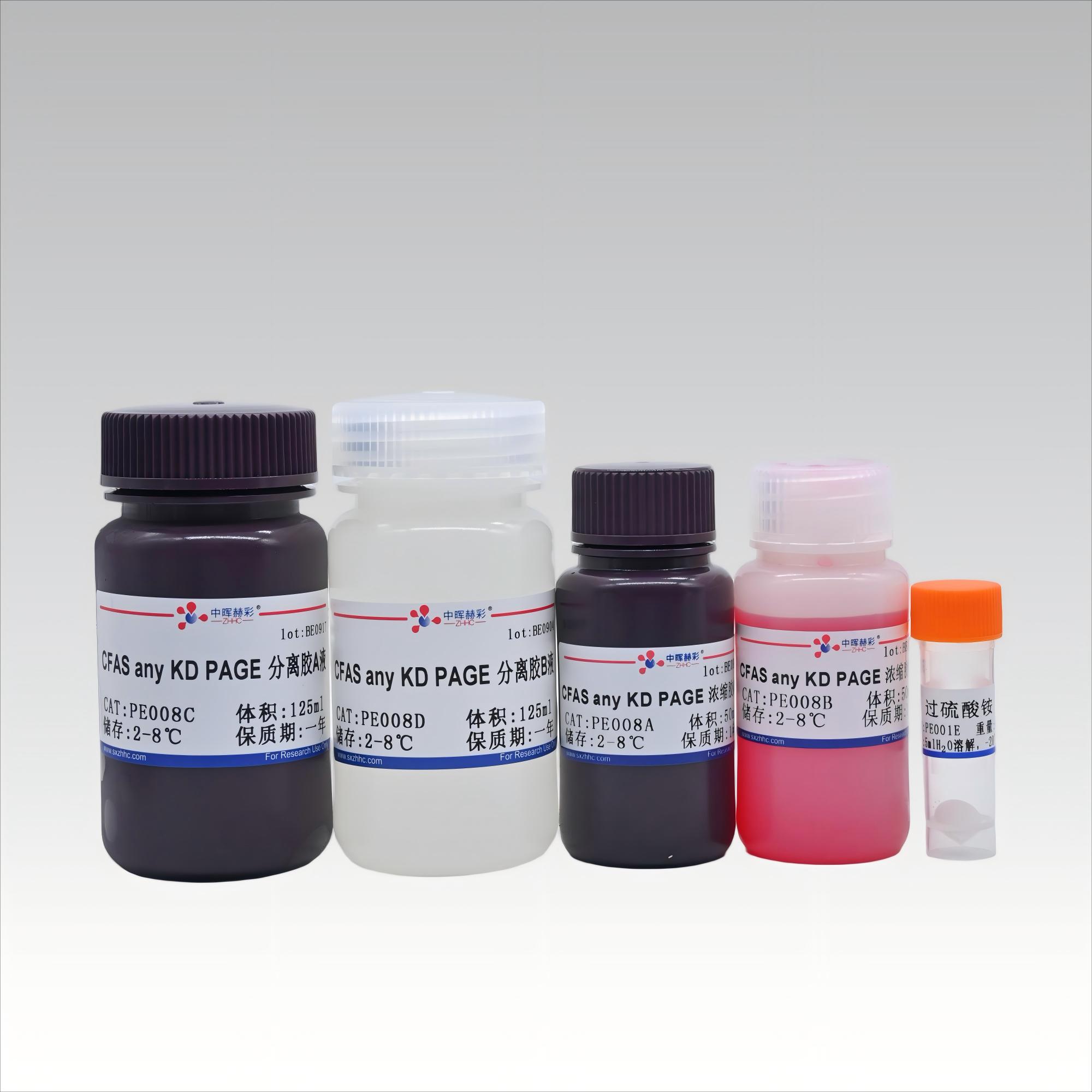 <strong>CFAS any KD PAGE 蛋白电泳凝胶制备试剂盒II</strong>