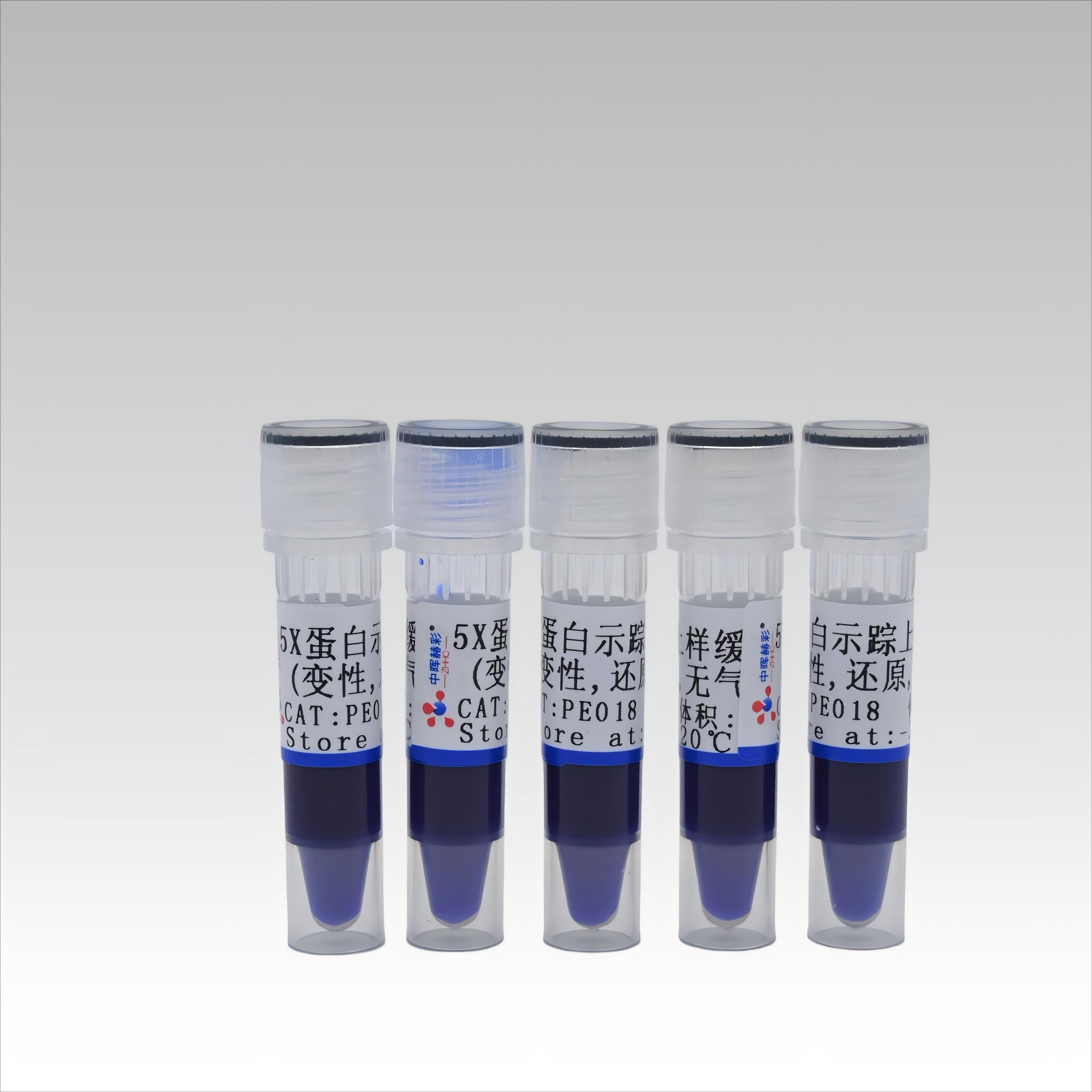 <strong>蛋白示踪上样缓冲液（5×，无气味）</strong>
