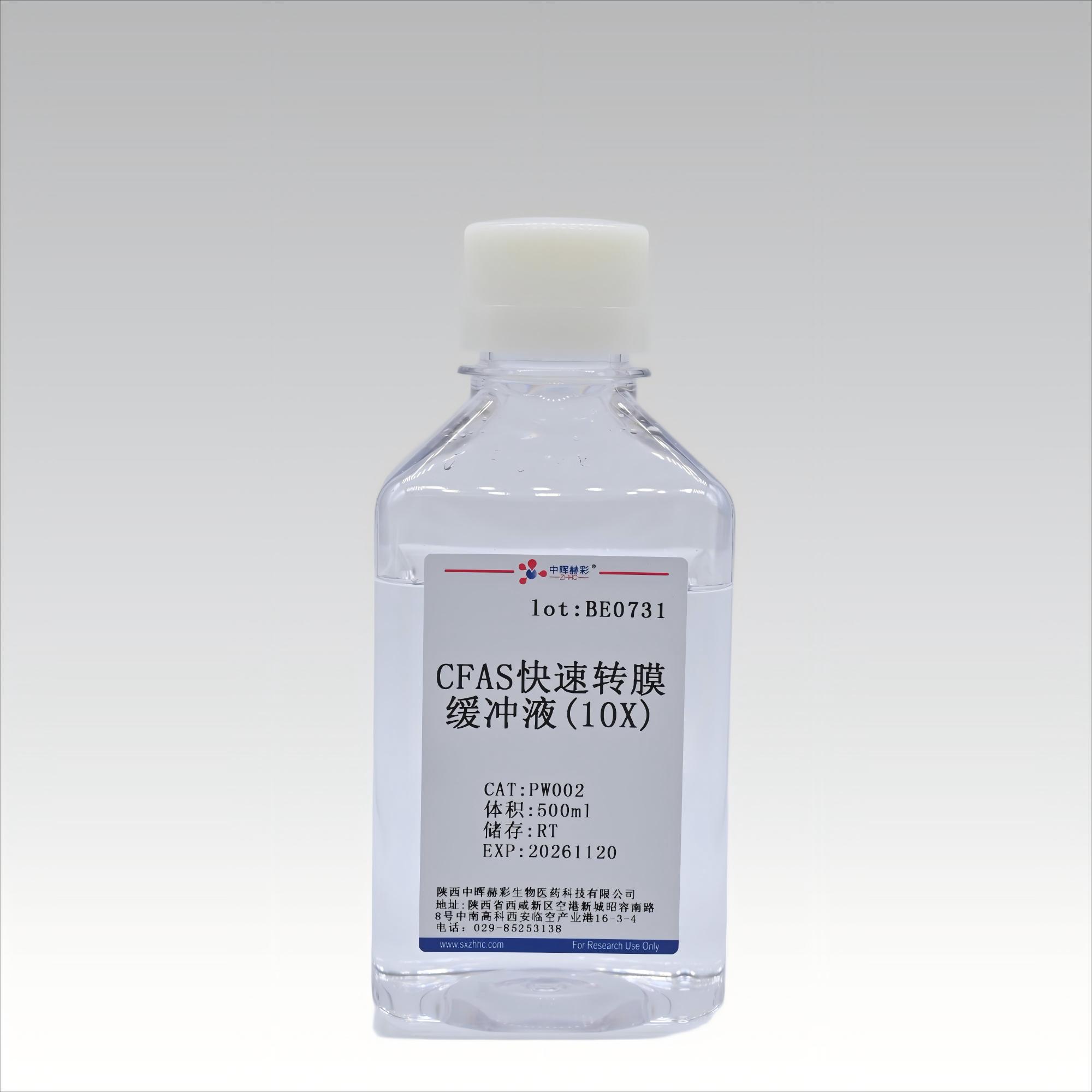 10×CFAS Western 快速转膜缓冲液